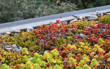 the cost of Coombelake green roof installation