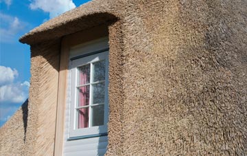 Coombelake thatch roof disadvantages